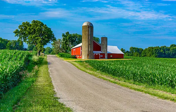 A country road fills the foreground leading back to a farm with red barn and spring corn crop with clouds above, Midwest USA