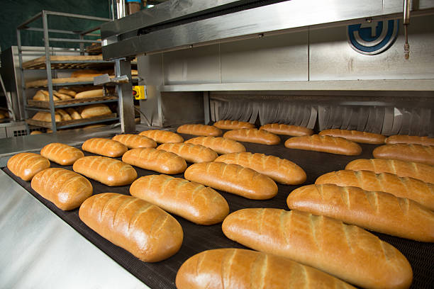 istock Hot baked breads on a line 503691320