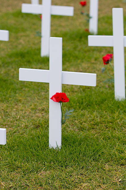 istock ANZAC Rememberance Crosses with Poppy 503691326