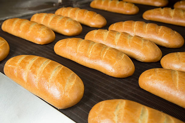 istock Hot baked breads on a line 503691338