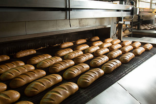 istock Hot baked breads on a line 503691364
