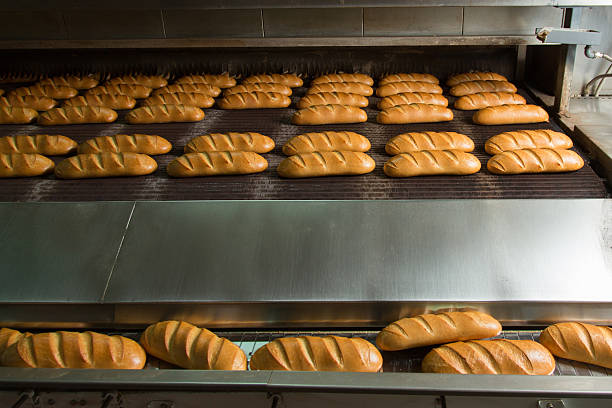 istock Hot baked breads on a line 503691406