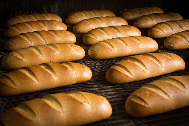 istock Hot baked breads on a line 503691486