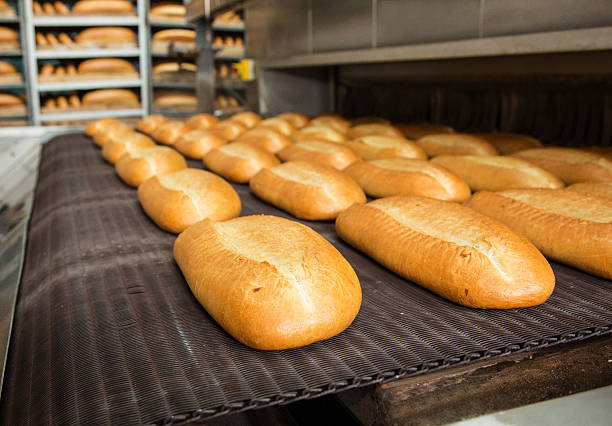 istock Hot baked breads on a line 503691692