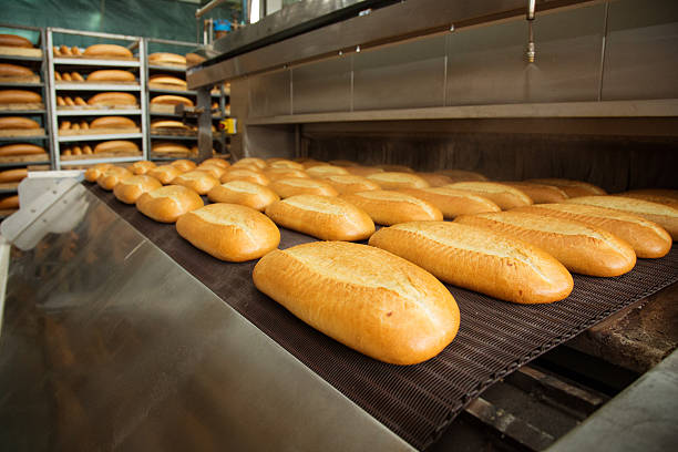 istock Hot baked breads on a line 503691722