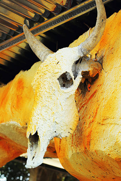 istock Dried buffalo - the wooden wall hanging. 503701667