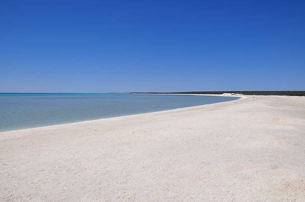 istock Shell Beach, Shark Bay, Western Australia 503702423