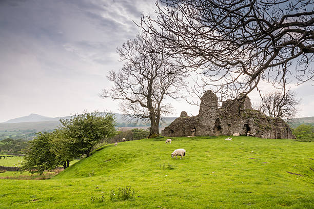 Pendragon Castle stock photo