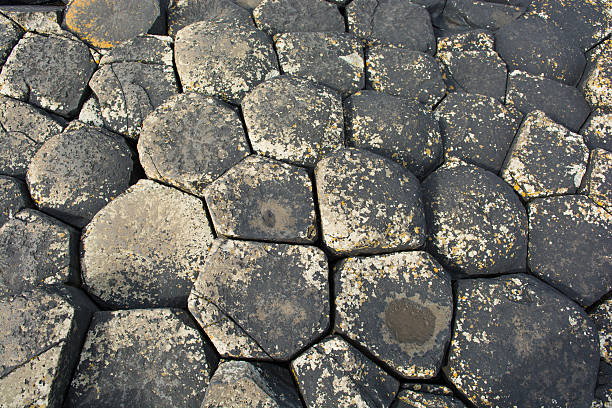 istock Giants Causeway in Northern Ireland 503706380