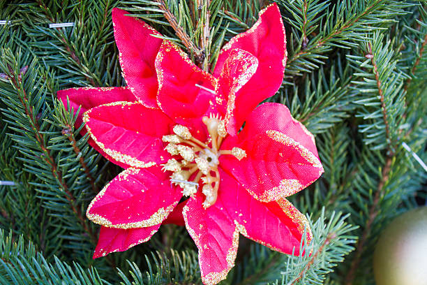 istock Christmas decorations on background of fir 503707616