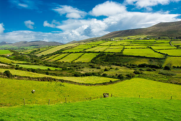 paisagem rural com pastagens na irlanda - northern ireland imagens e fotografias de stock