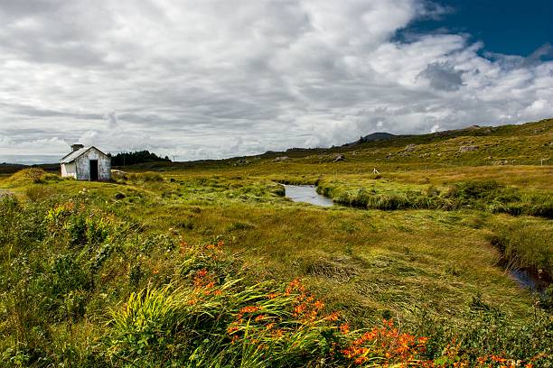 istock Remote Hut Beneath River in Ireland 503708902