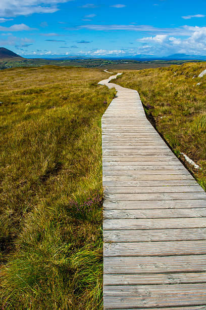 istock Narrow Track Upon A Hill 503710340