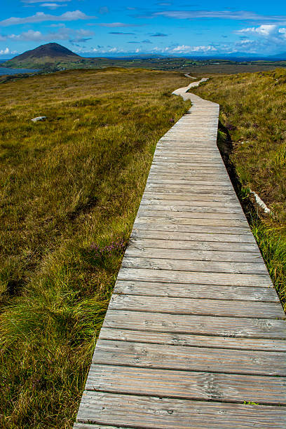 istock Narrow Track Upon A Hill 503710374