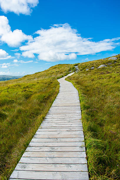 istock Narrow Track Upon A Hill 503710460