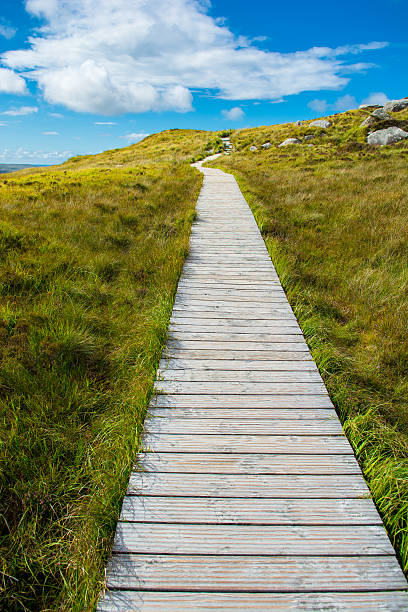 istock Narrow Track Upon A Hill 503710504