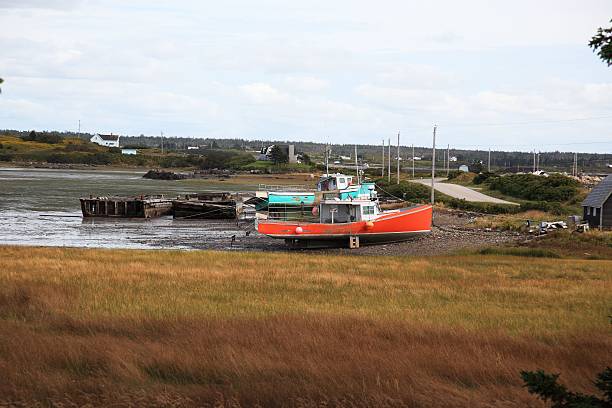 istock Fishing boats at low tide 503711868