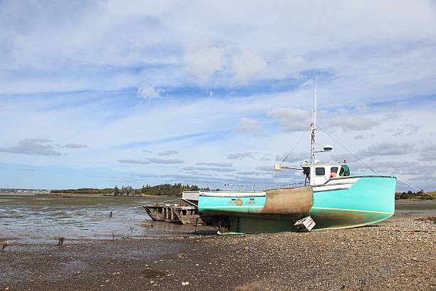 istock Fishing boat  at low tide 503711984