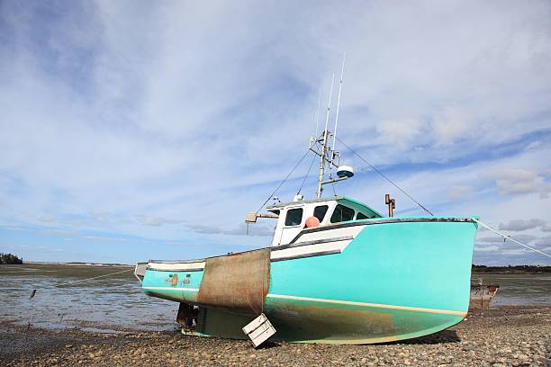 istock Fishing boat  at low tide 503712000