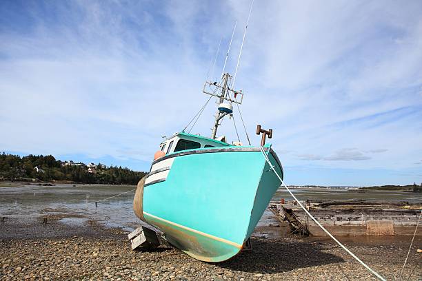 istock Fishing boat  at low tide 503712022