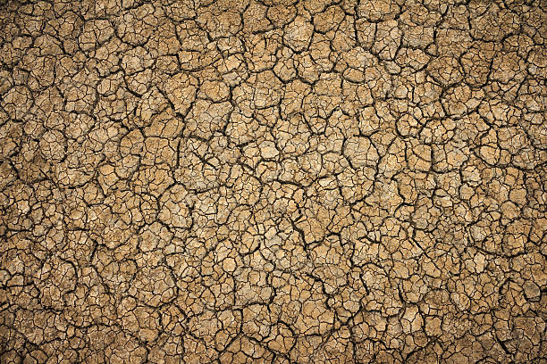 istock cracked clay ground into the dry season 503714110