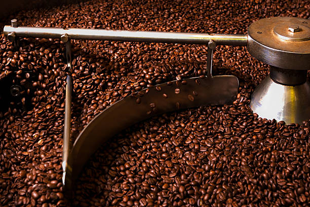 istock Roasting process of coffee, screening and cooling in the hopper 503714278
