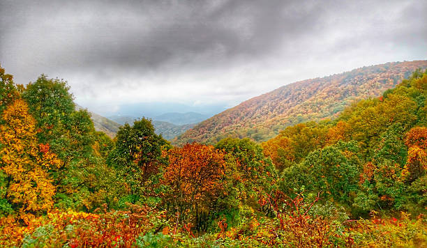 istock autumn drive on blue ridge parkway 503714460