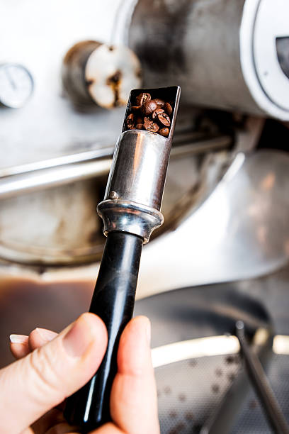 istock Roasting process of coffee, check of coffee 503714500
