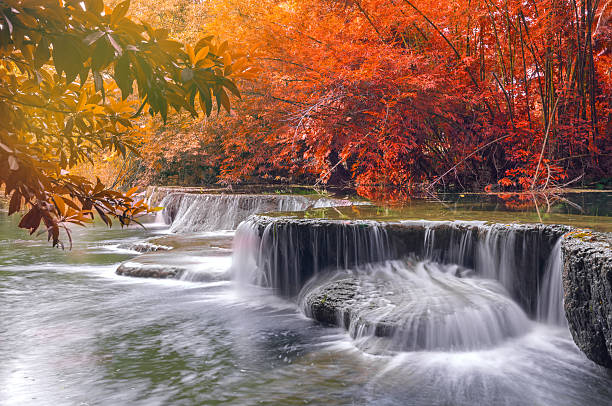 istock Waterfall in rain forest at national park 503714602