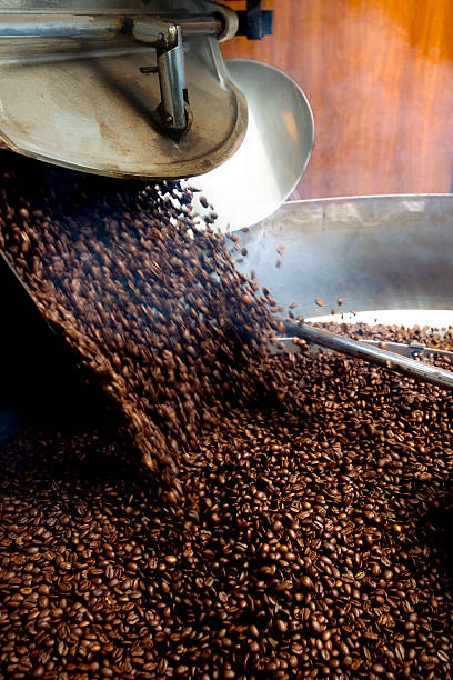 istock Roasting process of coffee, screening and cooling in the hopper 503714706