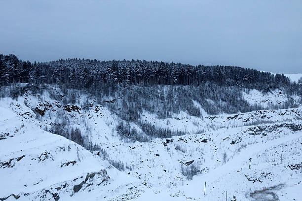 wald am rande des quarry - treelined forest at the edge of scenics stock-fotos und bilder