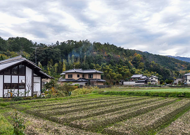 istock Houses in rice field - Japan 503719326