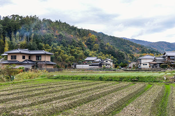 istock Houses in rice field - Japan 503719346