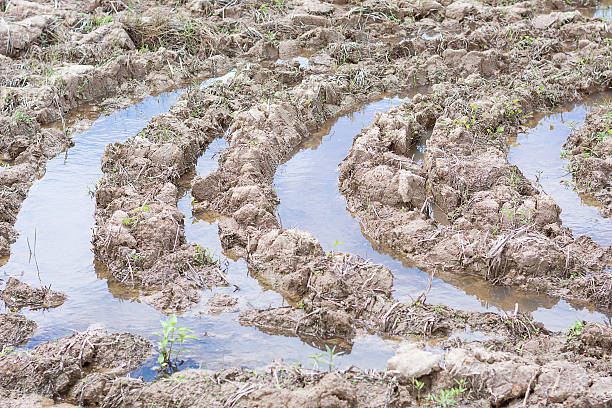 istock Ploughed Agricultural Land 503725795