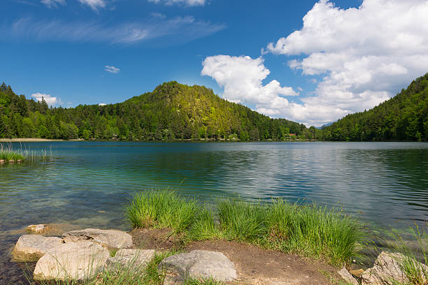 istock sunny spot on mountain at lake alatsee with rocks 503726961