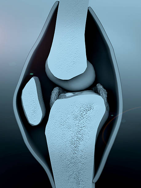 ginocchio, ginocchio umano - human bone forensic science medical scan morphology foto e immagini stock