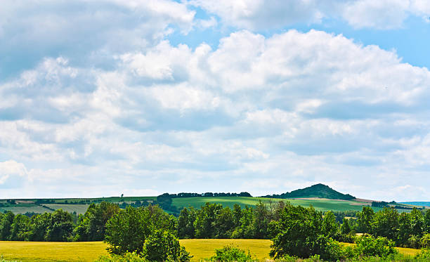 istock Beautiful landscape of sky and forest 503727055