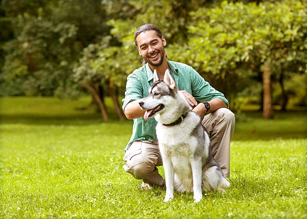 człowiek i syberyjski pies spaceru w parku. - action dog outdoors animal trainer zdjęcia i obrazy z banku zdjęć