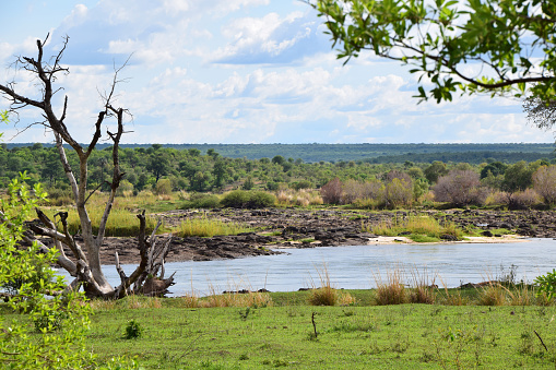 The Zambezi River that runs between Zambia and Zimbabwe is one of the most deadly rivers in the world - containing hippo, crocodile, tiger fish, deadly snakes, and more… you wouldn't want to swim in these waters.
