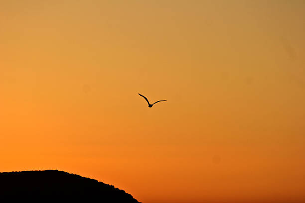istock Sunset in Greece  Peloponese 503729032