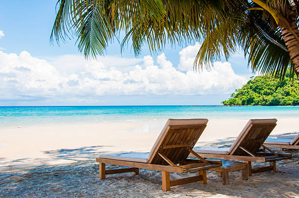 istock Sunbeds on exotic tropical palm beach 503729635