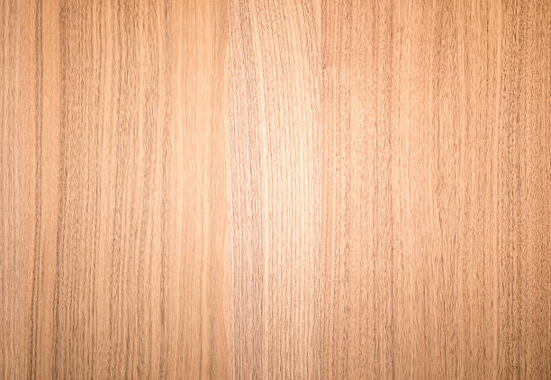 istock texture of Walnut wood 503730274