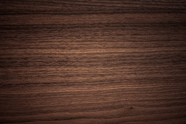 istock texture of Walnut wood 503730296