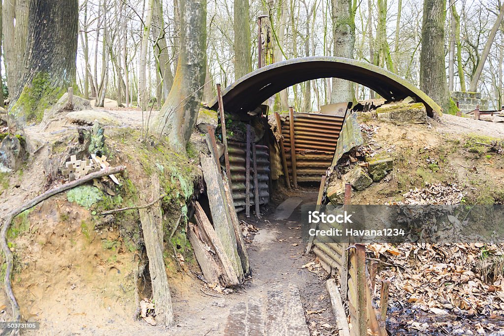 world war one trenches on hill in flanders fields Belgium Poppy - Plant Stock Photo