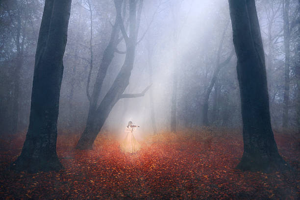 istock Fairy tale creature appears in the forest 503731134