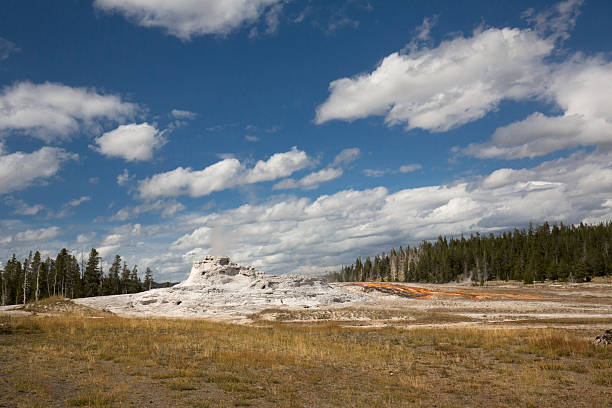 istock White limestone of Castle Geyser with deep blue sky, Yellowstone. 503731446