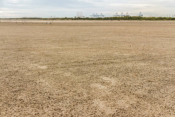 istock Land with dry and cracked ground. Desert 503732002