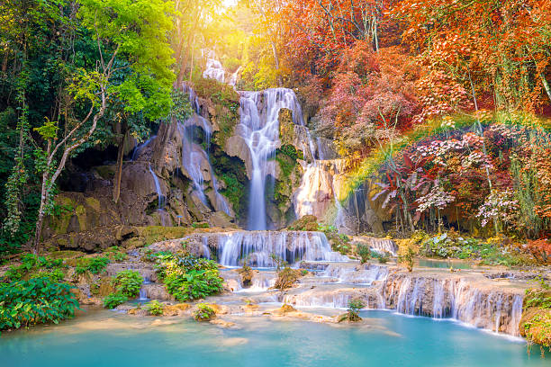 istock Waterfall in rain forest (Tat Kuang Si Waterfalls at Laos. 503732892
