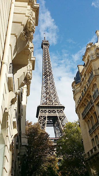 istock Eiffel Tower from Rue de Buenos Ayres 503735624