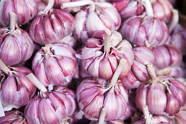 istock Garlics at Market 503735874